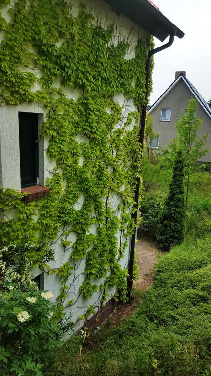 Haus Seefeld Uckeritz Luaran gambar